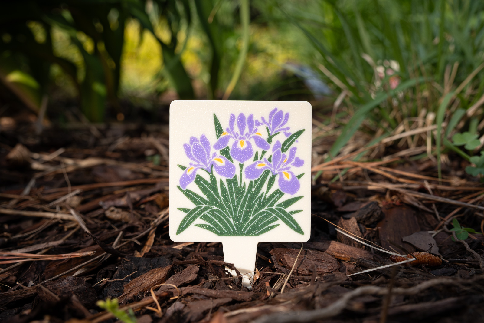 A HuBo Native Dwarf Crested Iris (Iris cristata) plant tag in a Piedmont NC native garden