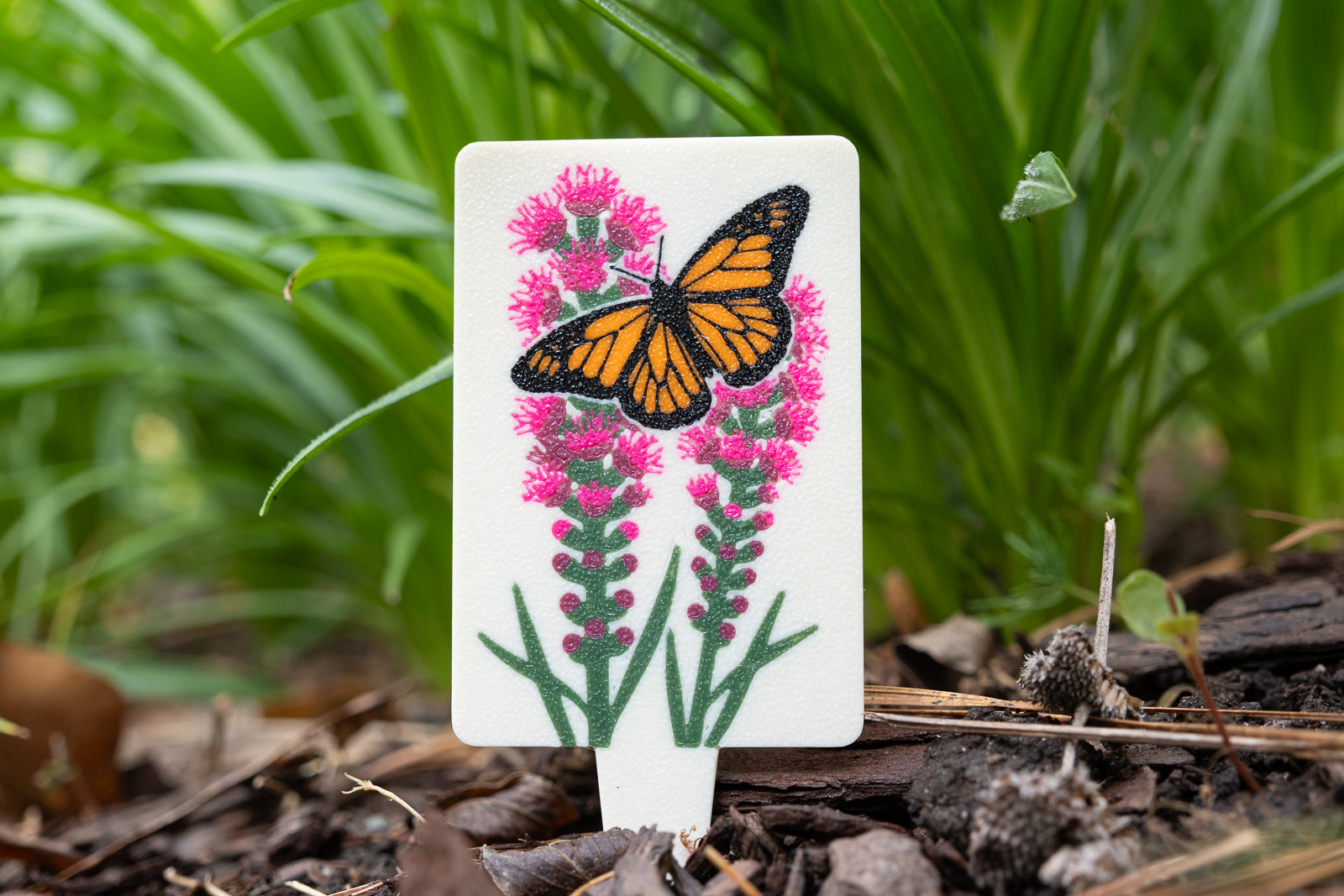 A HuBo Native Dense Blazing Star (Liatris spicata) plant tag in a Piedmont NC native garden, featuring a monarch butterfly
