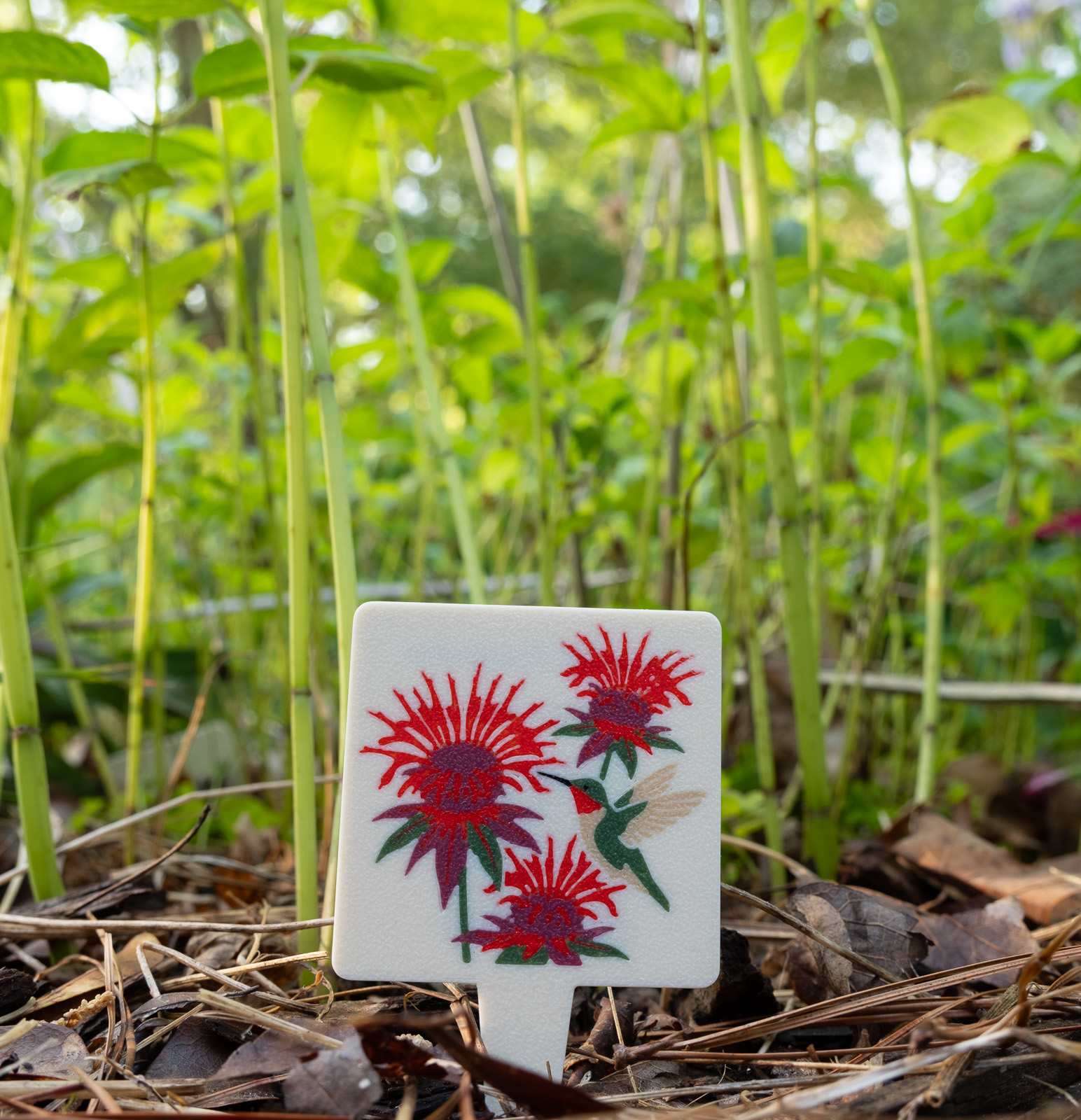 The scarlet beebalm plant tag staked in the garden bed