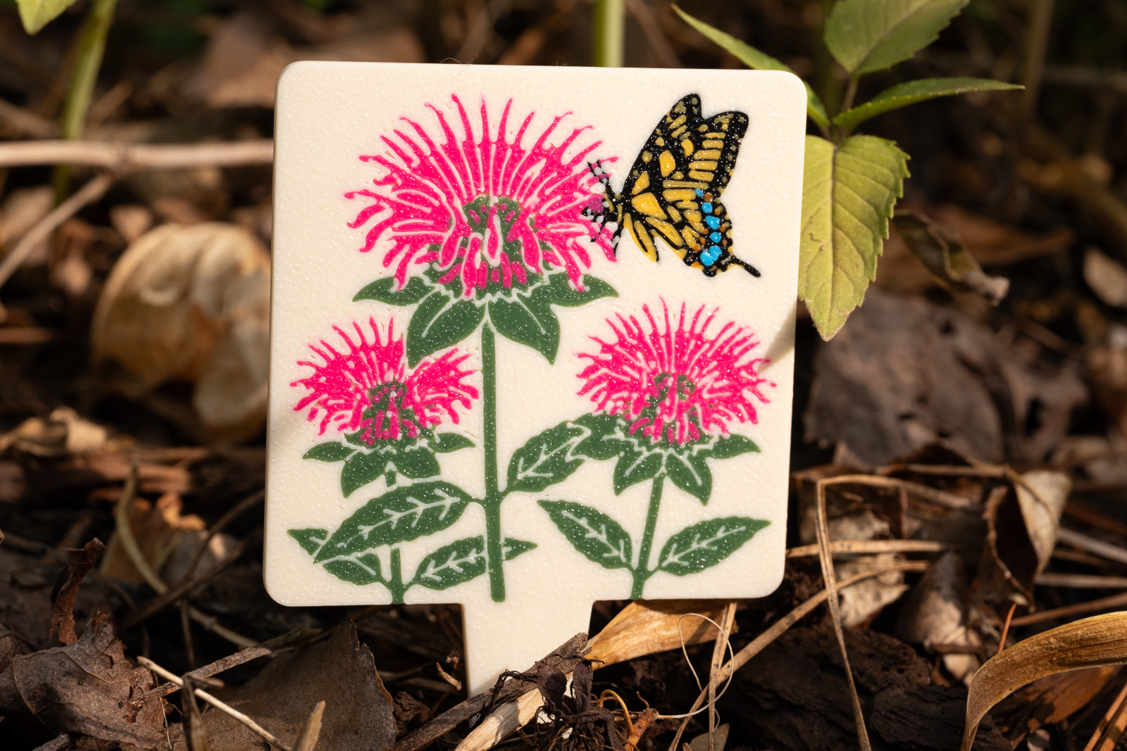 A HuBo Native Wild Bergamot (Monarda fistulosa) plant tag in a Piedmont NC native garden, featuring a eastern tiger swallowtail butterfly