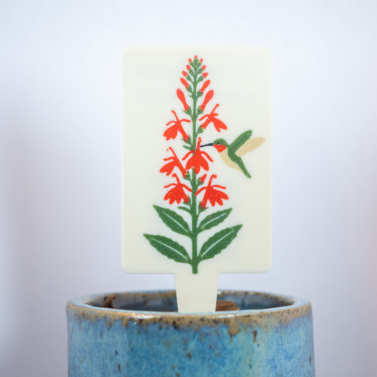Cardinal Flower (Lobelia cardinalis)