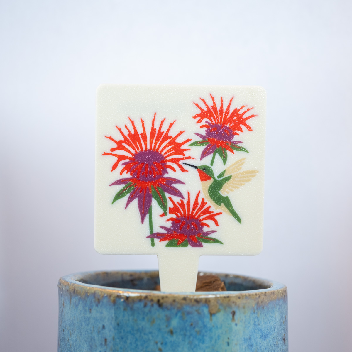Scarlet Beebalm (Monarda didyma)